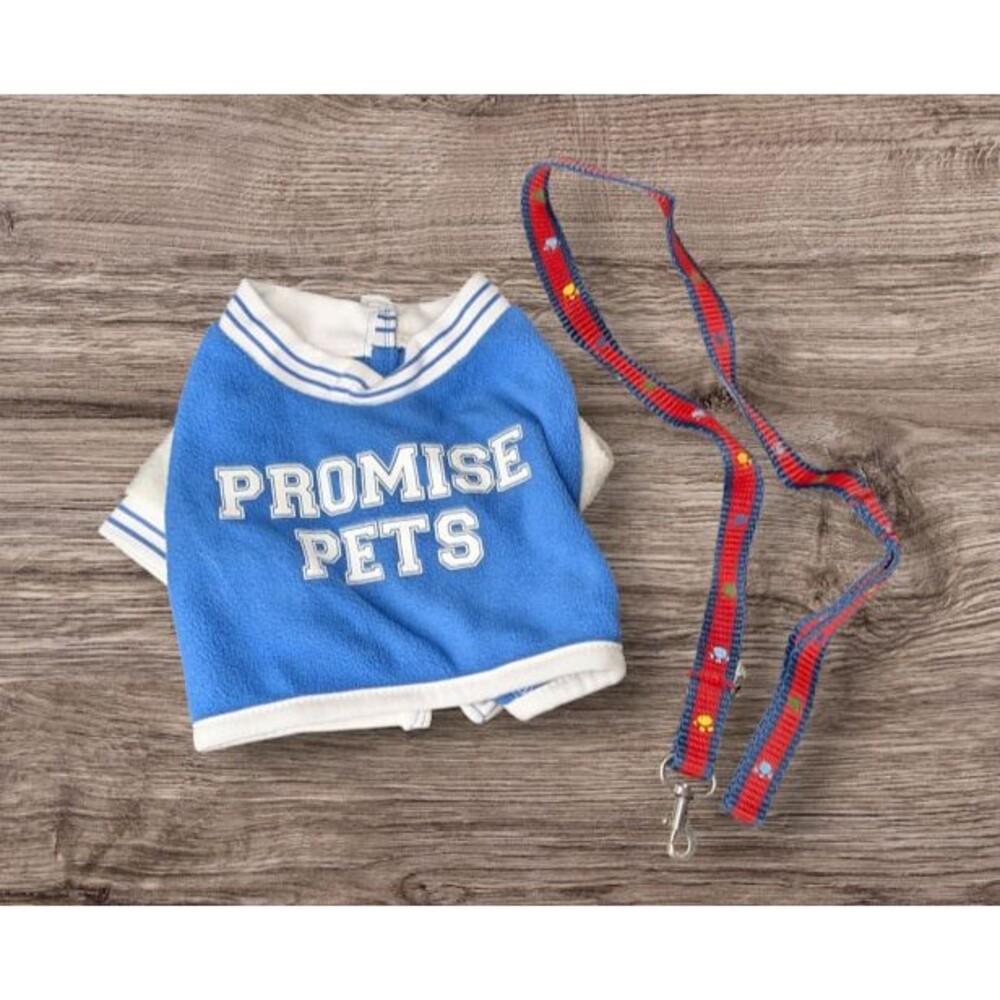 Vintage Build a Bear Dog Promise Pets Coat & Leash